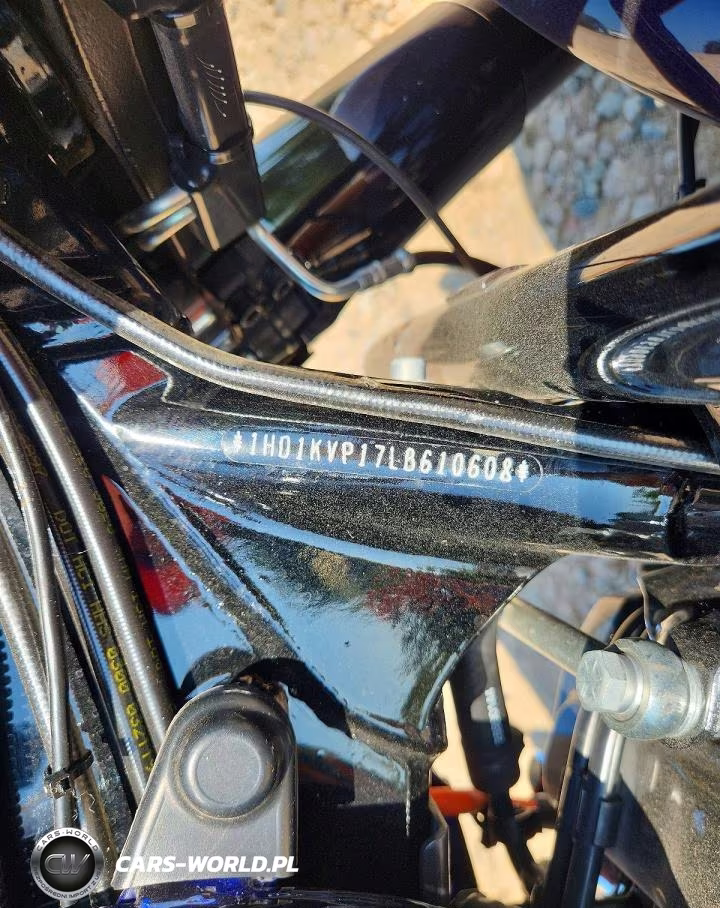 2020 Harley-Davidson Mc-Trailer VIN:1HD1KVP17LB610608 - 8