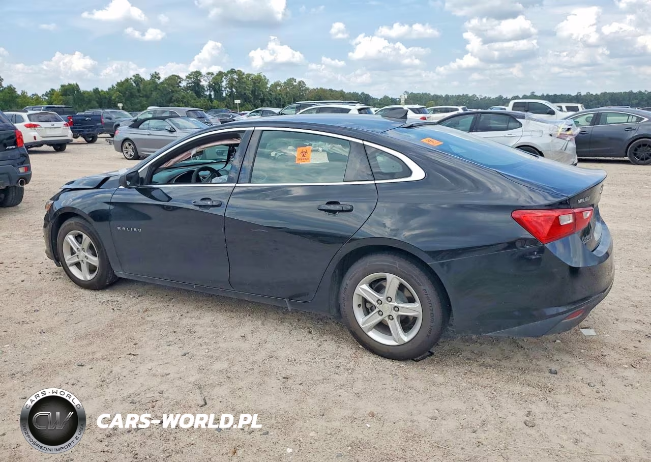 2019 Chevrolet Malibu Ls VIN:1G1ZB5ST4KF146691 - 2