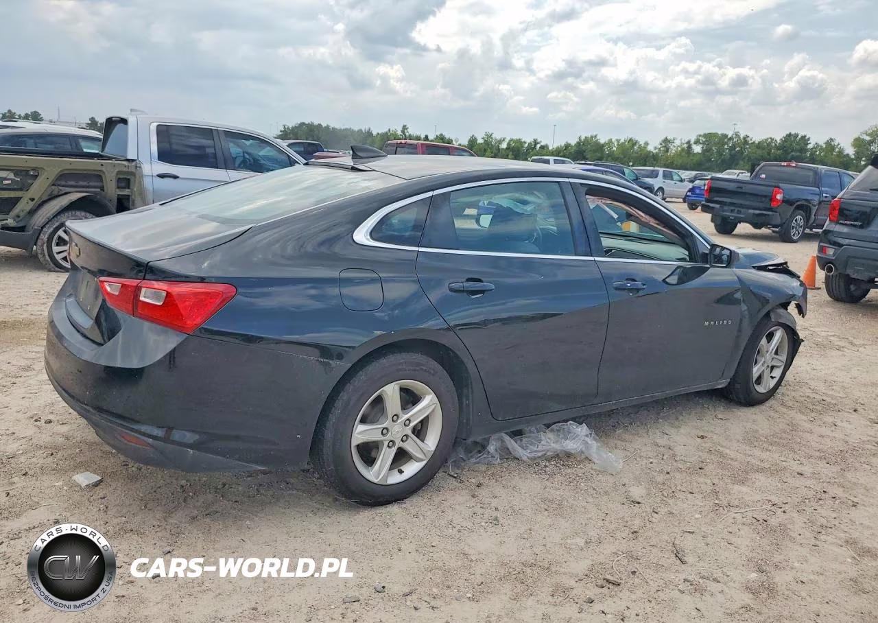 2019 Chevrolet Malibu Ls VIN:1G1ZB5ST4KF146691 - 3