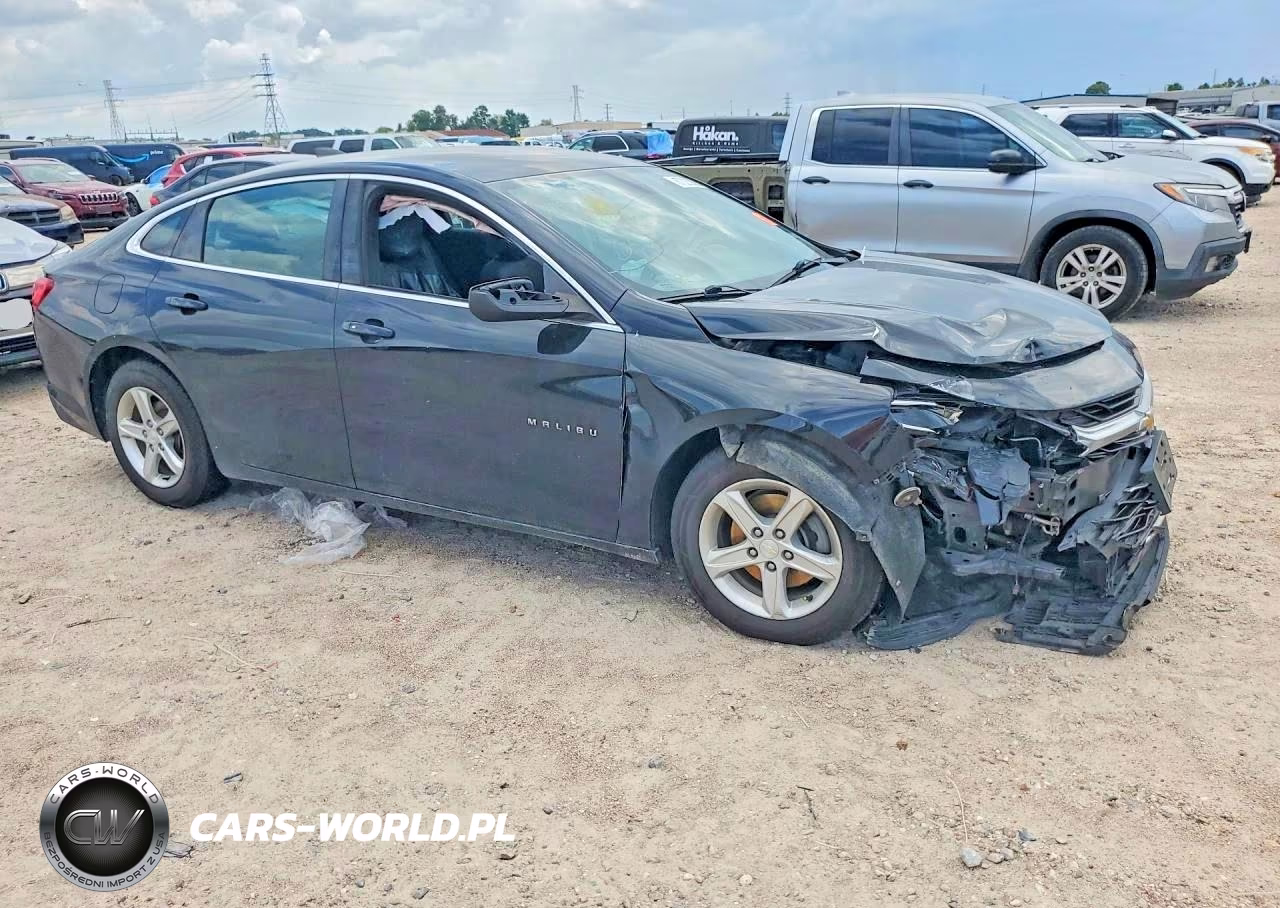 2019 Chevrolet Malibu Ls VIN:1G1ZB5ST4KF146691 - 4