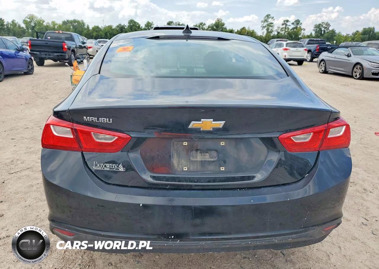 2019 Chevrolet Malibu Ls VIN:1G1ZB5ST4KF146691 - 6
