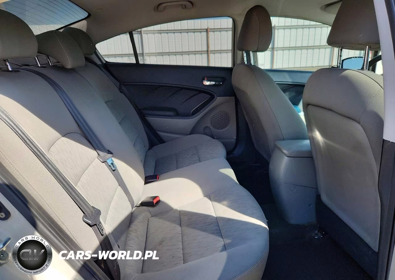 2015 Kia Forte Lx VIN:KNAFK4A66F5295953 - 10