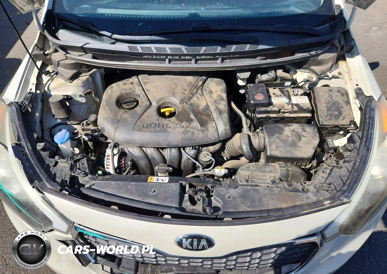 2015 Kia Forte Lx VIN:KNAFK4A66F5295953 - 11