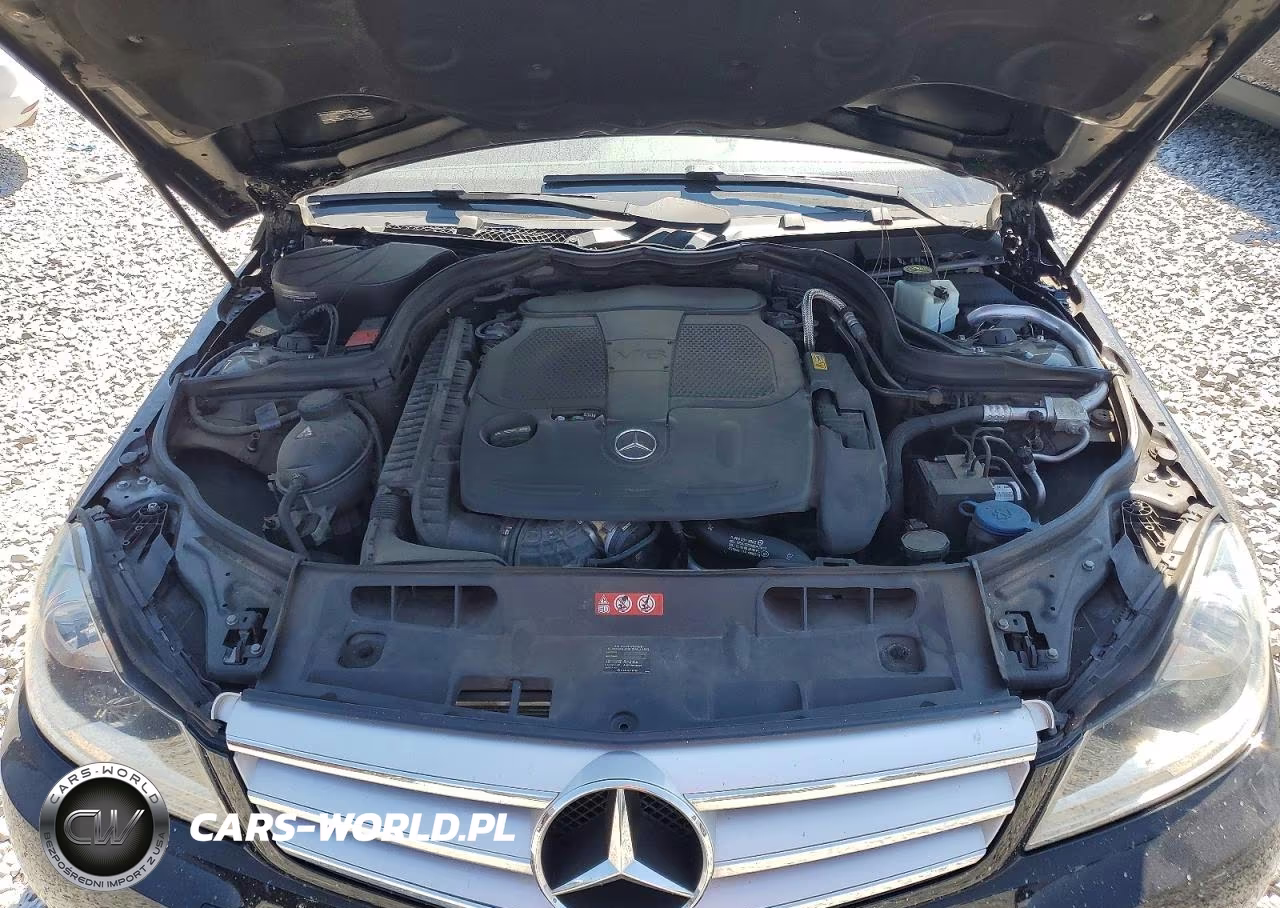 2013 Mercedes-Benz C 300 4Matic VIN:WDDGF8AB7DR276825 - 11