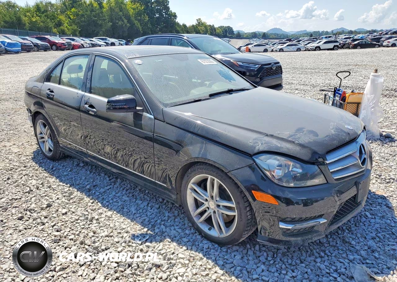2013 Mercedes-Benz C 300 4Matic VIN:WDDGF8AB7DR276825 - 4