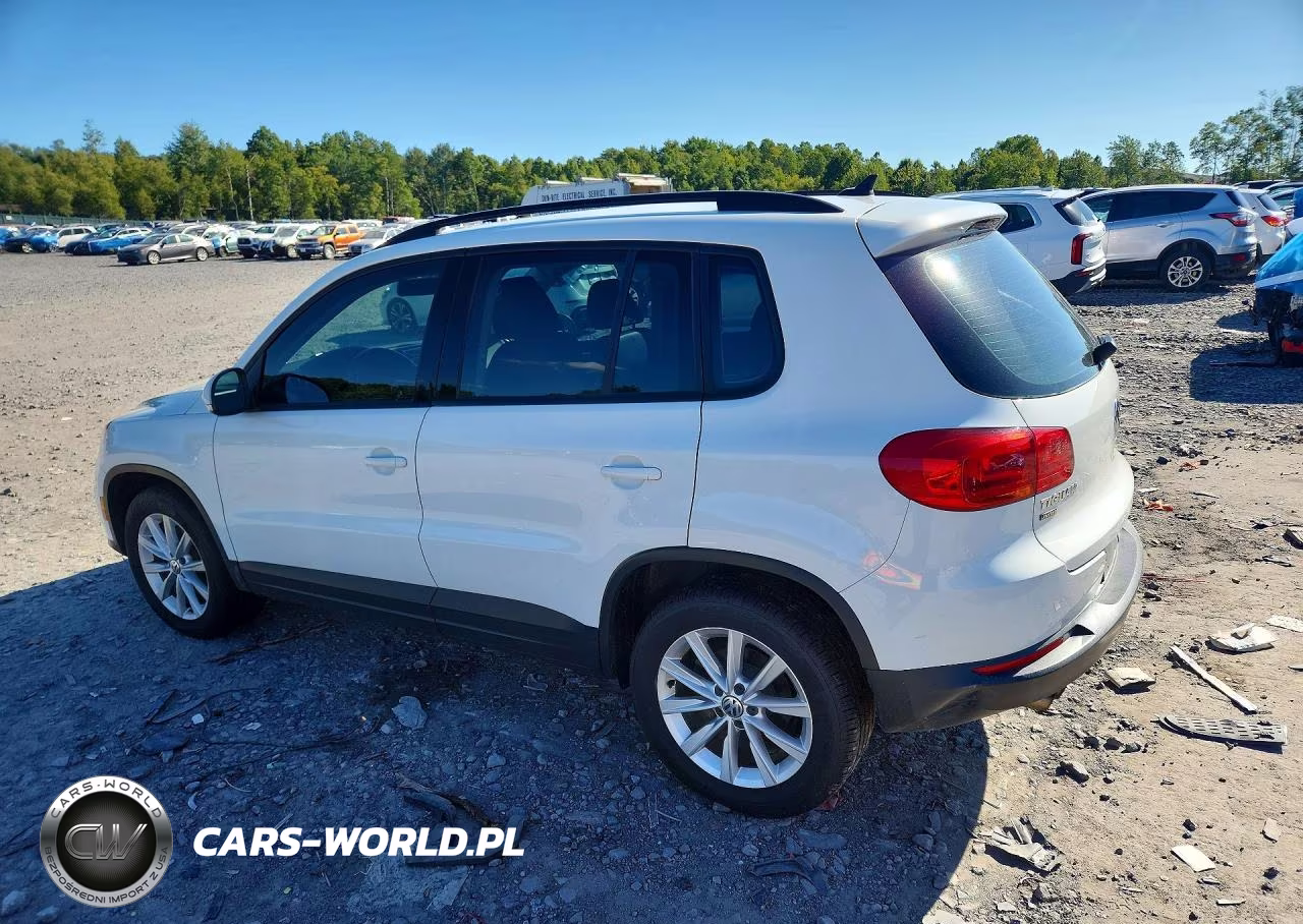 2017 Volkswagen Tiguan S VIN:WVGBV7AX4HK054668 - 2