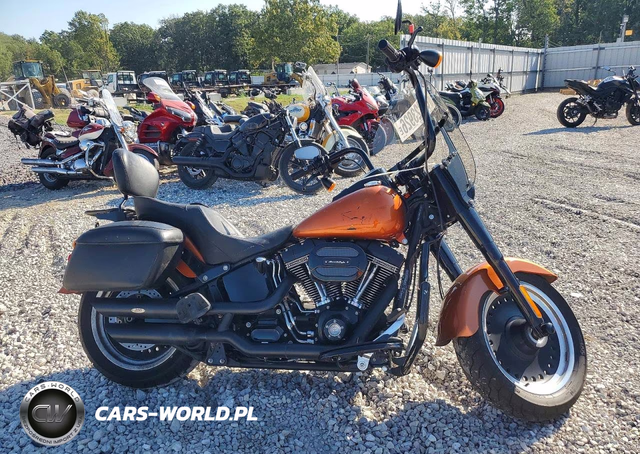 2017 Harley-Davidson Flstfbs