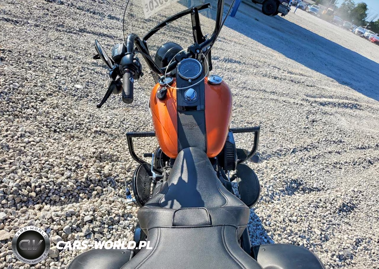 2017 Harley-Davidson Flstfbs VIN:1HD1JT913HC034795 - 6