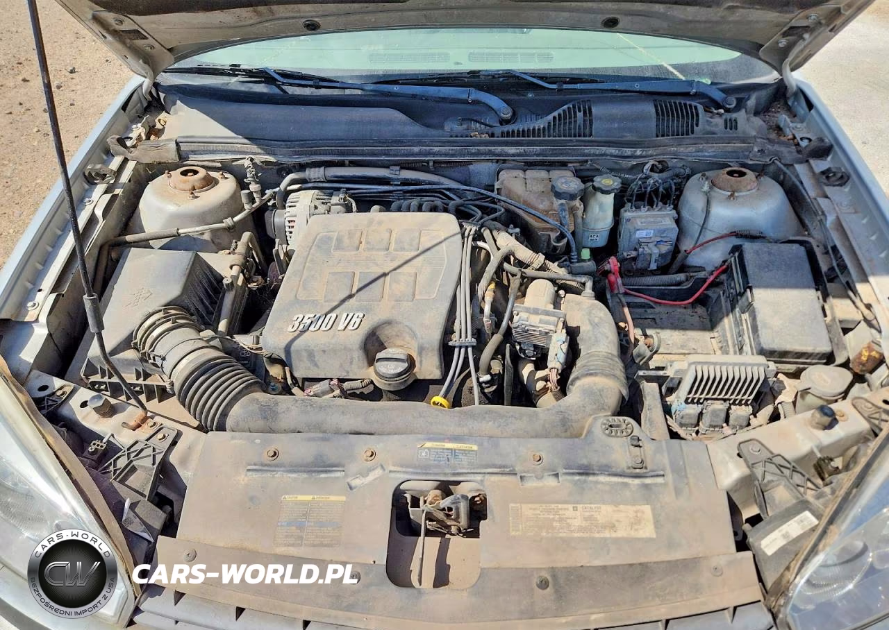 2005 Chevrolet Malibu Ls VIN:1G1ZT52865F225051 - 11