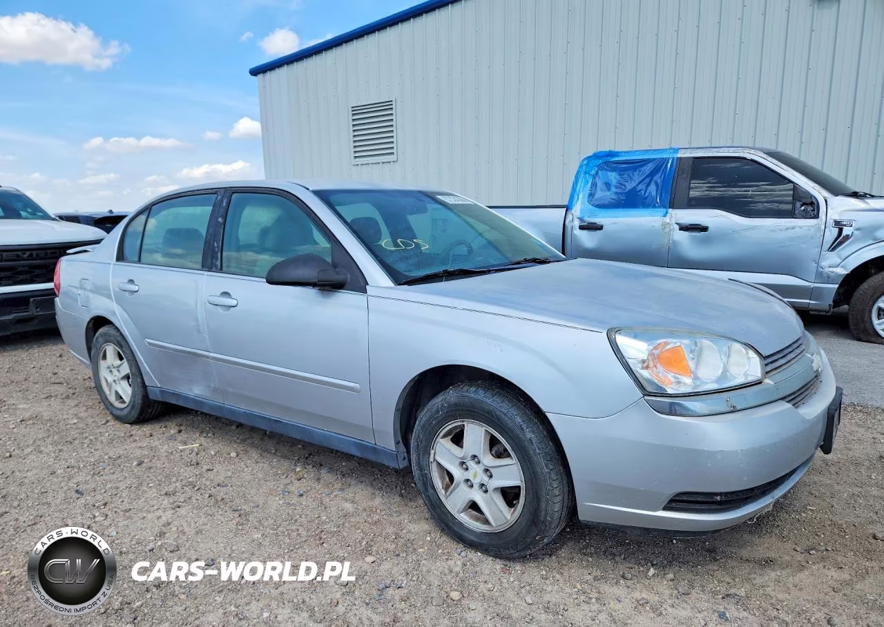 2005 Chevrolet Malibu Ls VIN:1G1ZT52865F225051 - 4