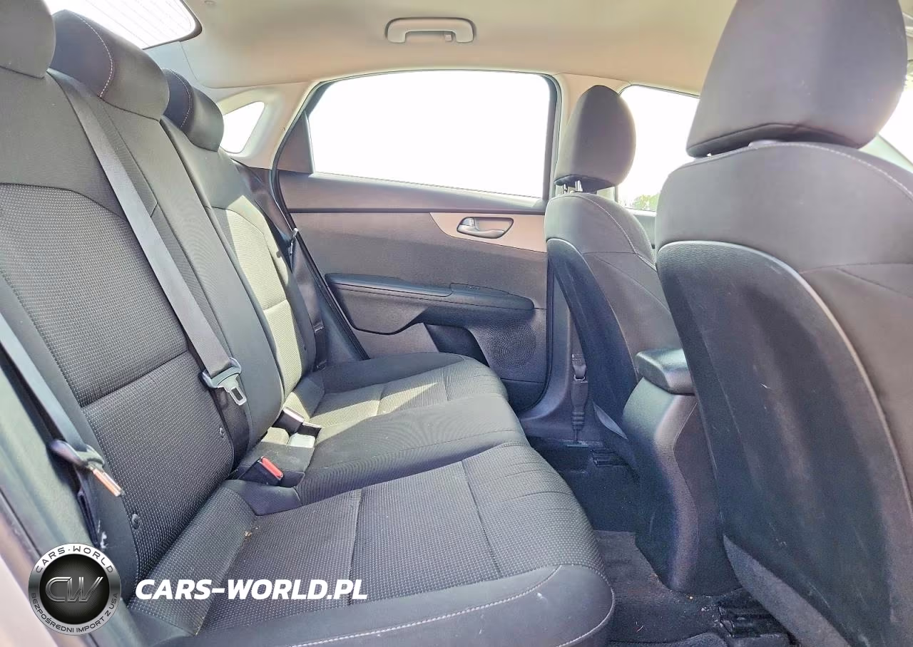 2019 Kia Forte Fe VIN:3KPF24AD6KE044785 - 10