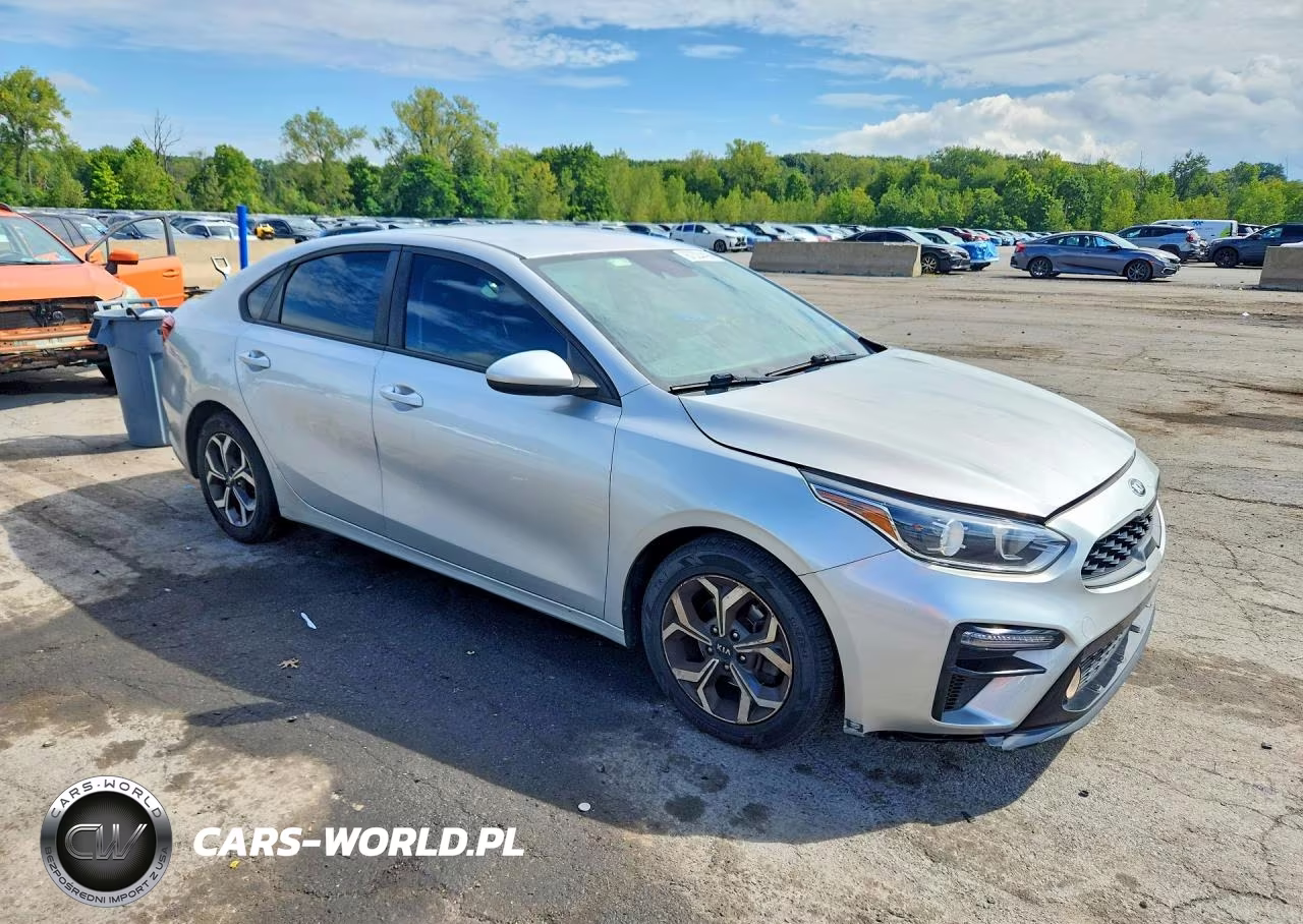 2019 Kia Forte Fe VIN:3KPF24AD6KE044785 - 4