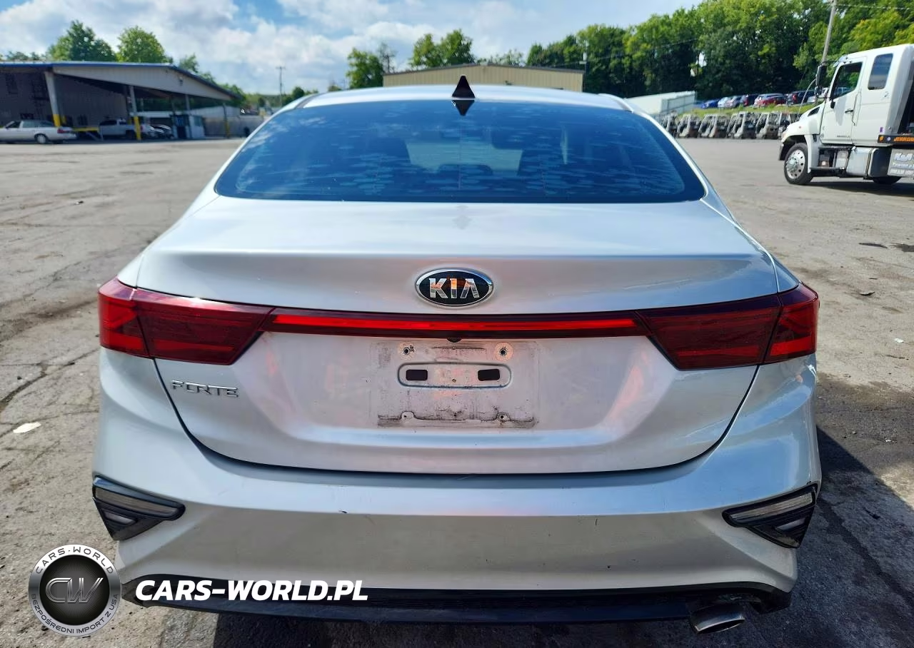 2019 Kia Forte Fe VIN:3KPF24AD6KE044785 - 6