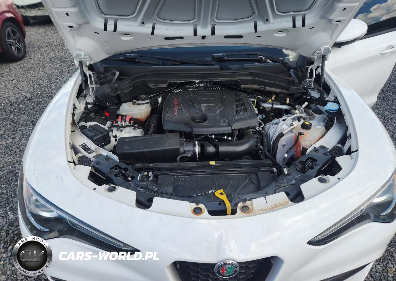 2022 Alfa Romeo Stelvio VIN:ZASPAJAN0N7D31534 - 12