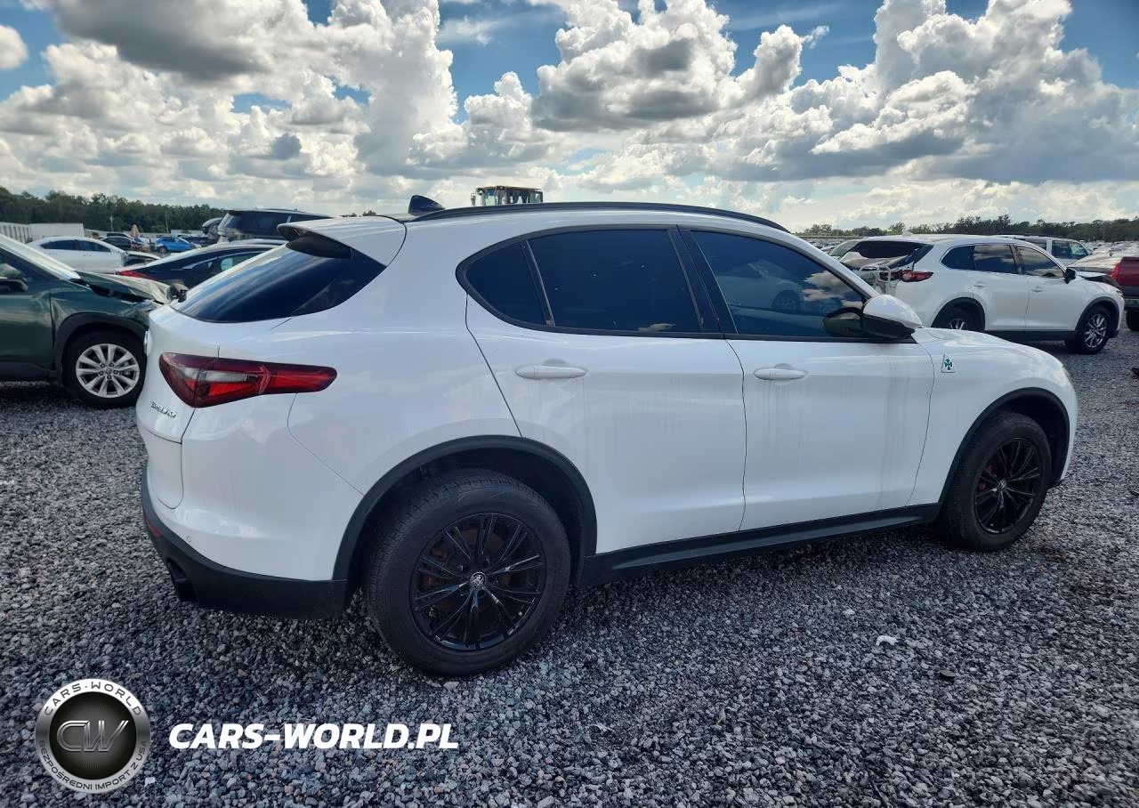 2022 Alfa Romeo Stelvio VIN:ZASPAJAN0N7D31534 - 3