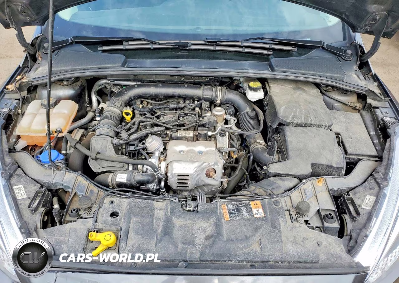 2018 Ford Focus Se VIN:1FADP3FE9JL301843 - 11