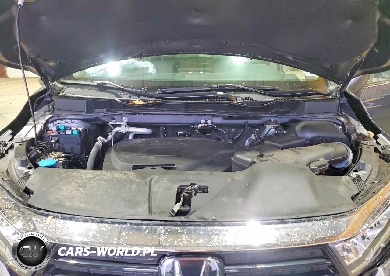 2024 Honda Odyssey Exl VIN:5FNRL6H63RB032546 - 12