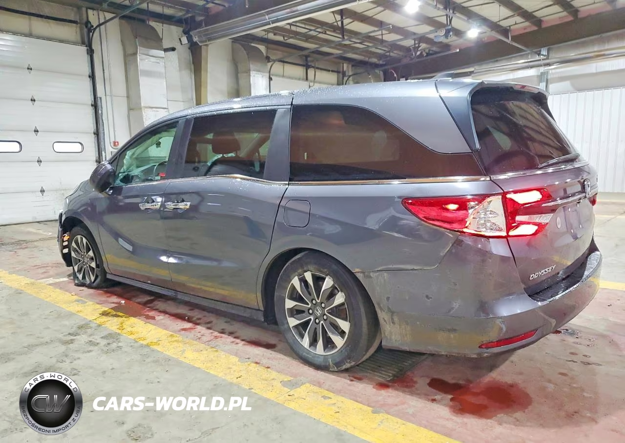 2024 Honda Odyssey Exl VIN:5FNRL6H63RB032546 - 2
