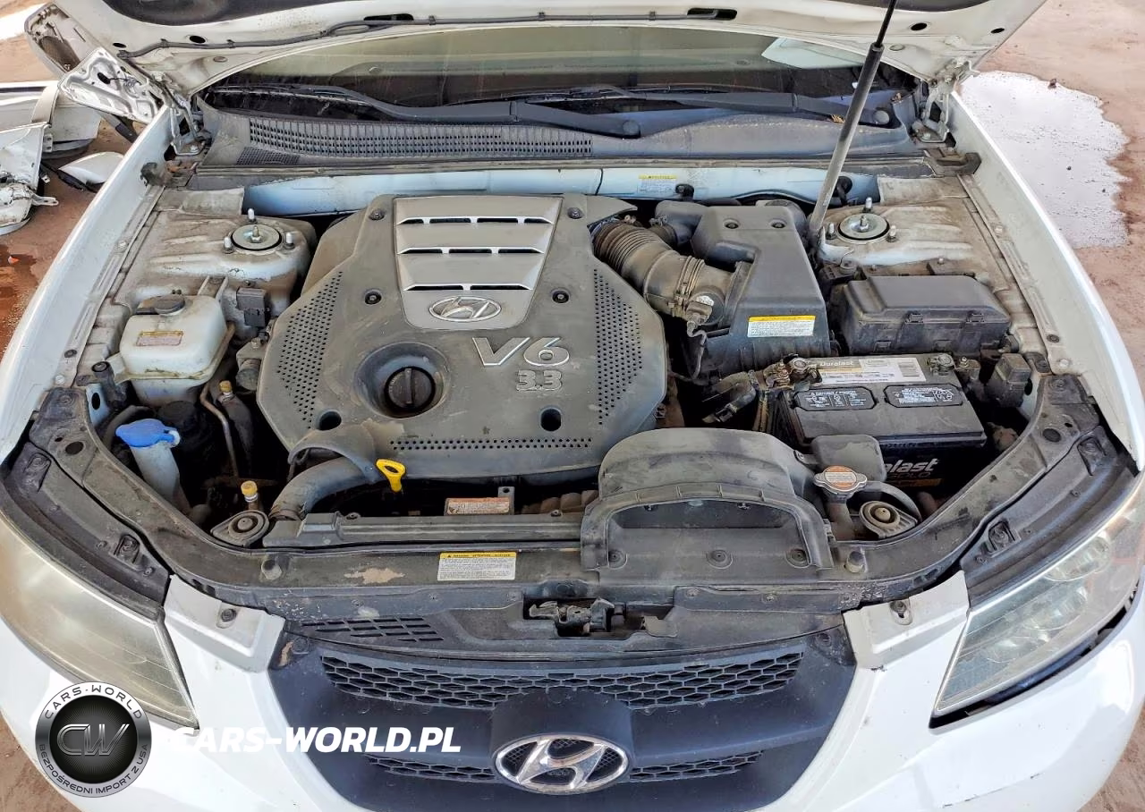 2007 Hyundai Sonata Se VIN:5NPEU46F17H240863 - 11
