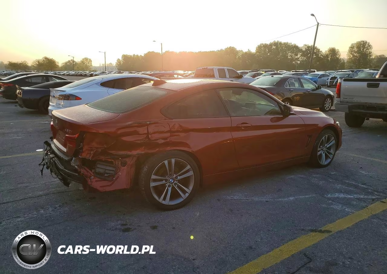 2018 BMW 430Xi VIN:WBA4W5C57JAA49485 - 3