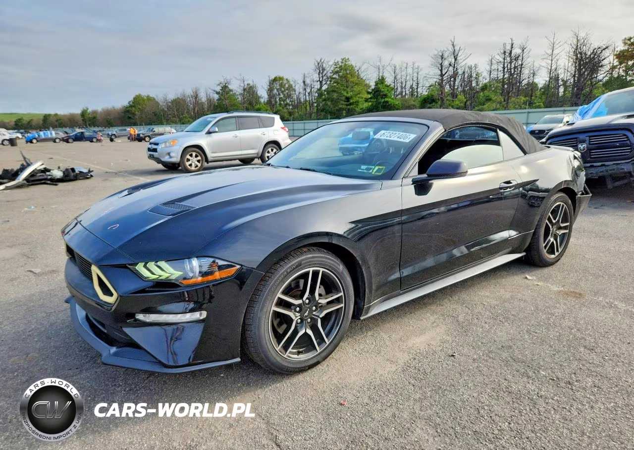2019 Ford Mustang