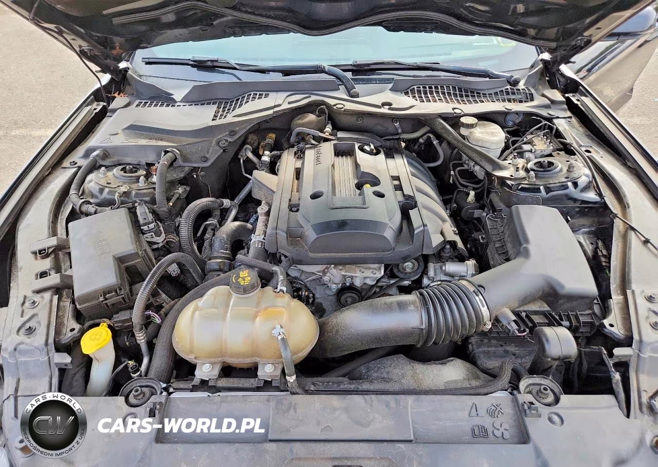 2019 Ford Mustang VIN:1FATP8UH4K5182000 - 11