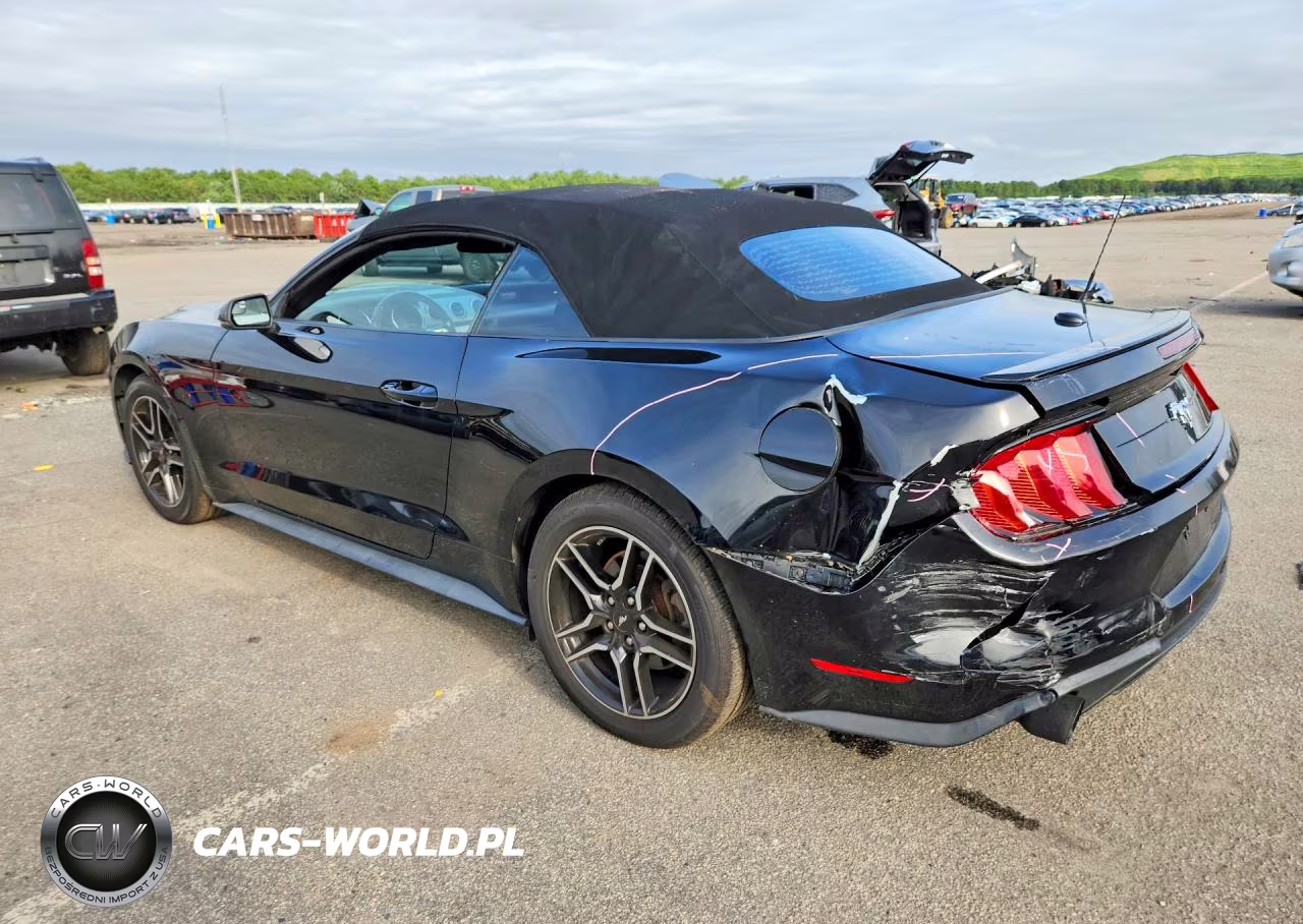 2019 Ford Mustang VIN:1FATP8UH4K5182000 - 2