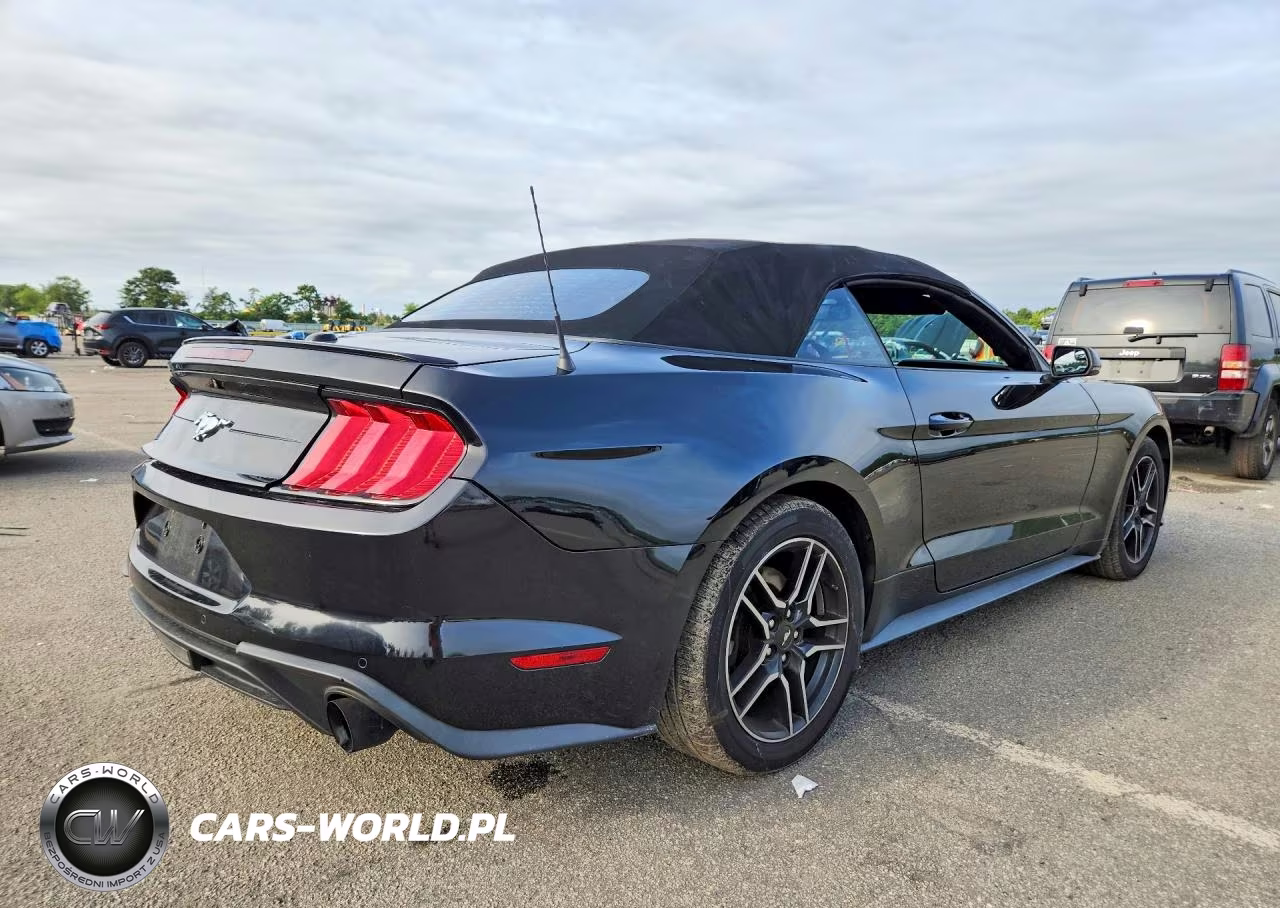 2019 Ford Mustang VIN:1FATP8UH4K5182000 - 3