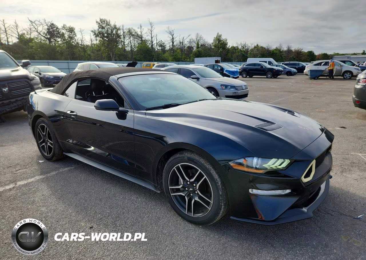 2019 Ford Mustang VIN:1FATP8UH4K5182000 - 4
