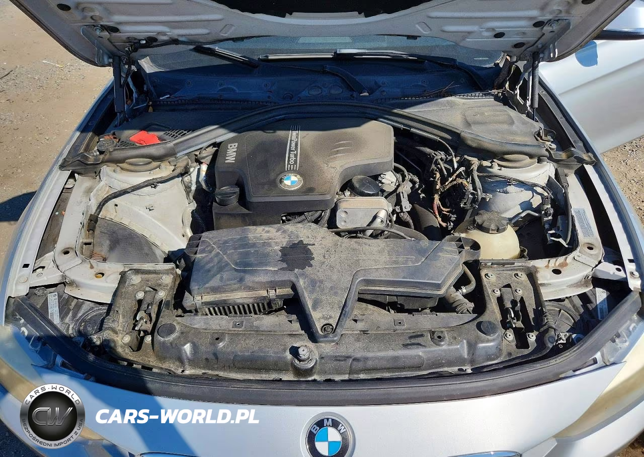 2013 BMW 320 I VIN:WBA3B1C53DF461598 - 11