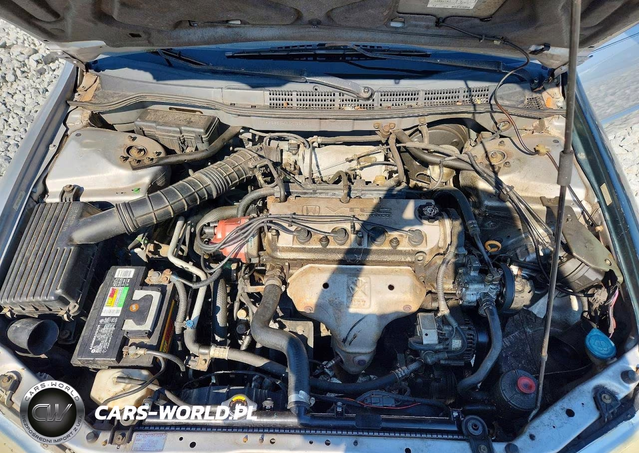 1998 Honda Accord Lx VIN:1HGCG5641WA132141 - 11