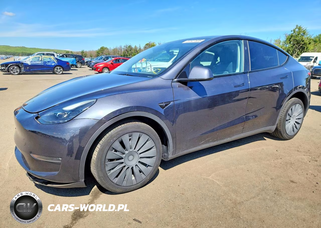 2024 Tesla Model Y VIN:7SAYGDEEXRA283886 - 1