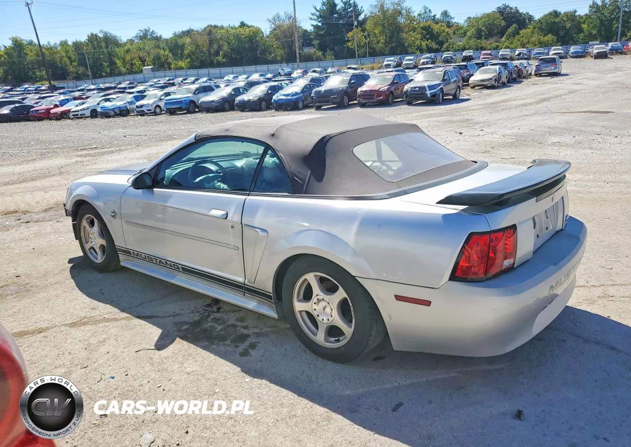 2004 Ford Mustang VIN:1FAFP44684F192692 - 2