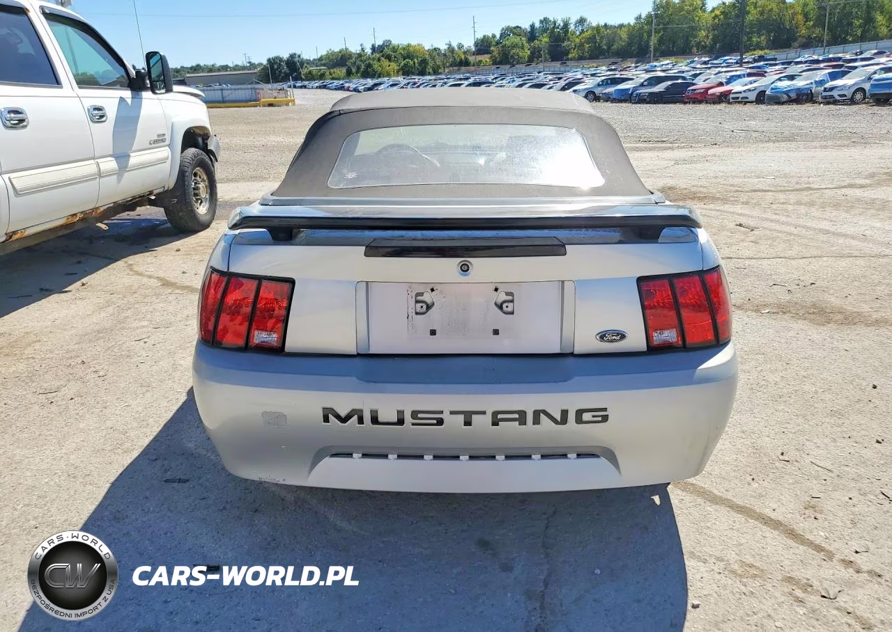 2004 Ford Mustang VIN:1FAFP44684F192692 - 6