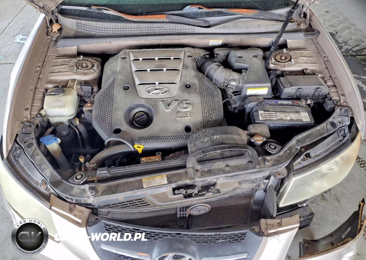 2007 Hyundai Sonata Se VIN:5NPEU46F97H165118 - 11
