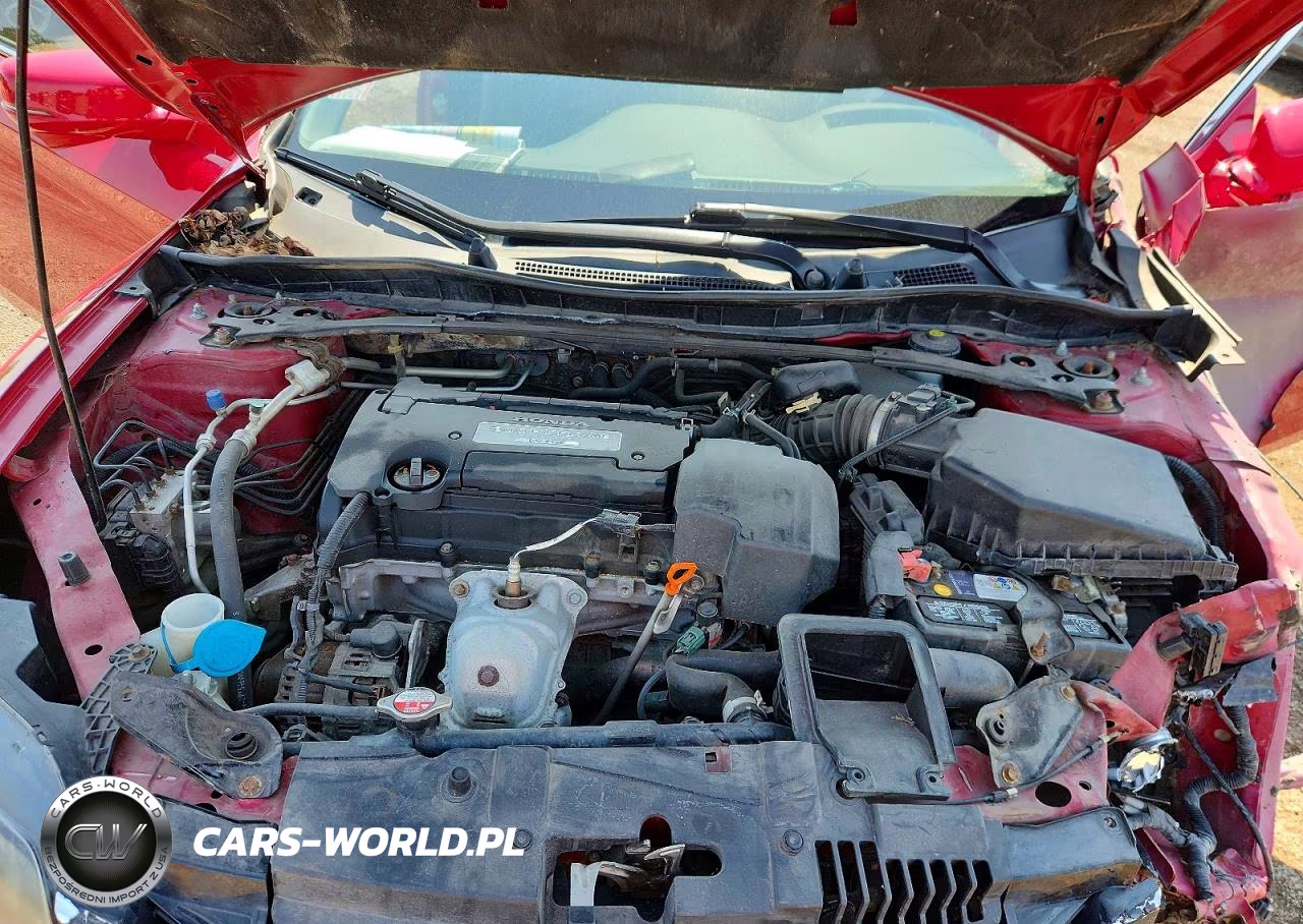 2013 Honda Accord Exl VIN:1HGCT1B82DA007384 - 11