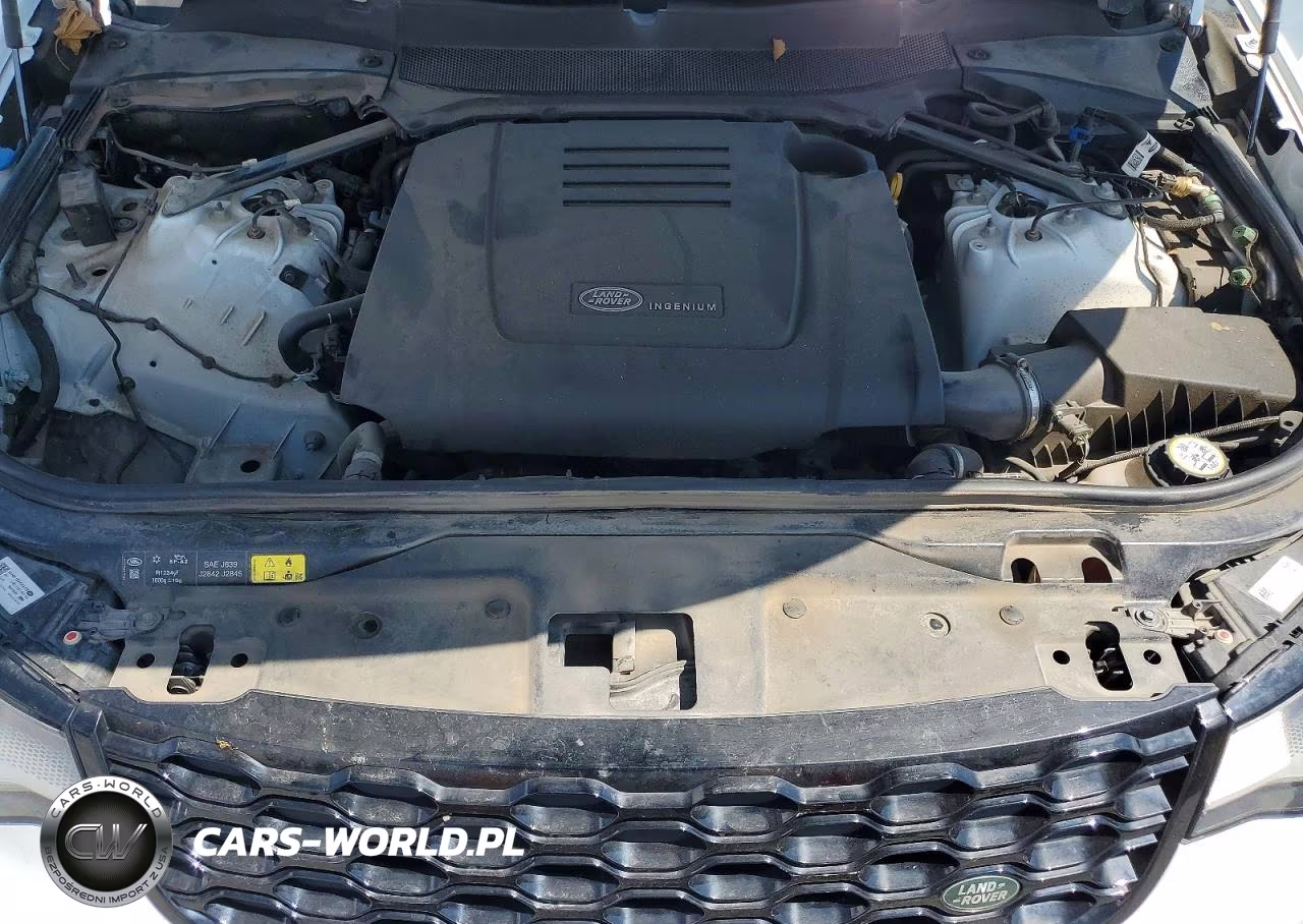 2023 Land Rover Discovery S R-Dynamic VIN:SALRT2EX6P2472355 - 12