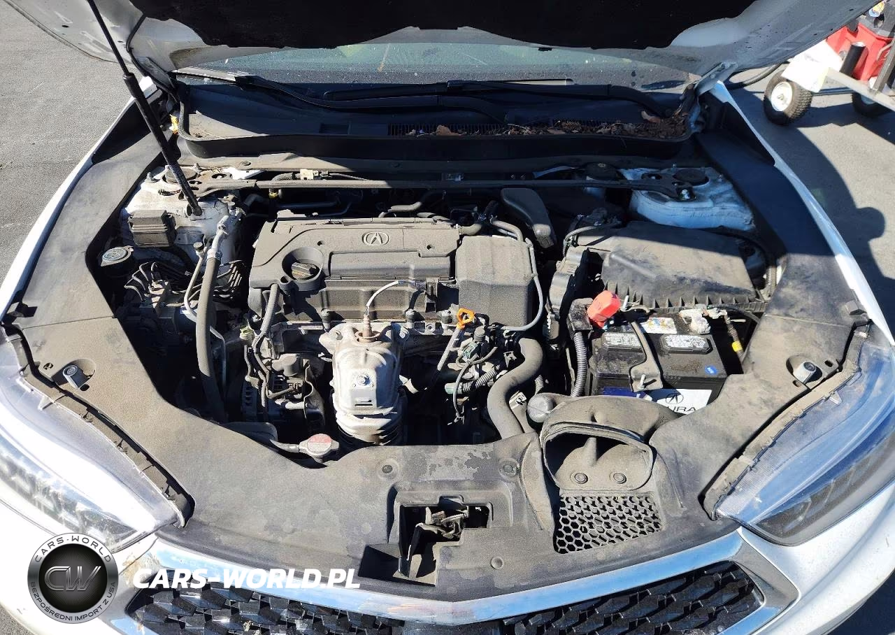 2020 Acura Tlx VIN:19UUB1F3XLA003006 - 11