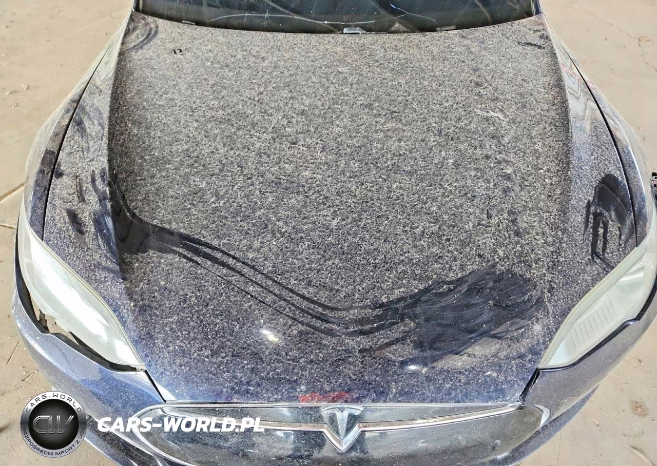 2012 Tesla Model S VIN:5YJSA1DN2CFP01324 - 11