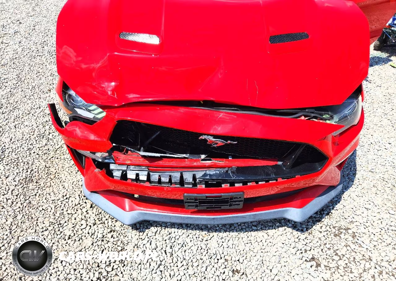 2019 Ford Mustang Gt VIN:1FA6P8CF9K5152617 - 11