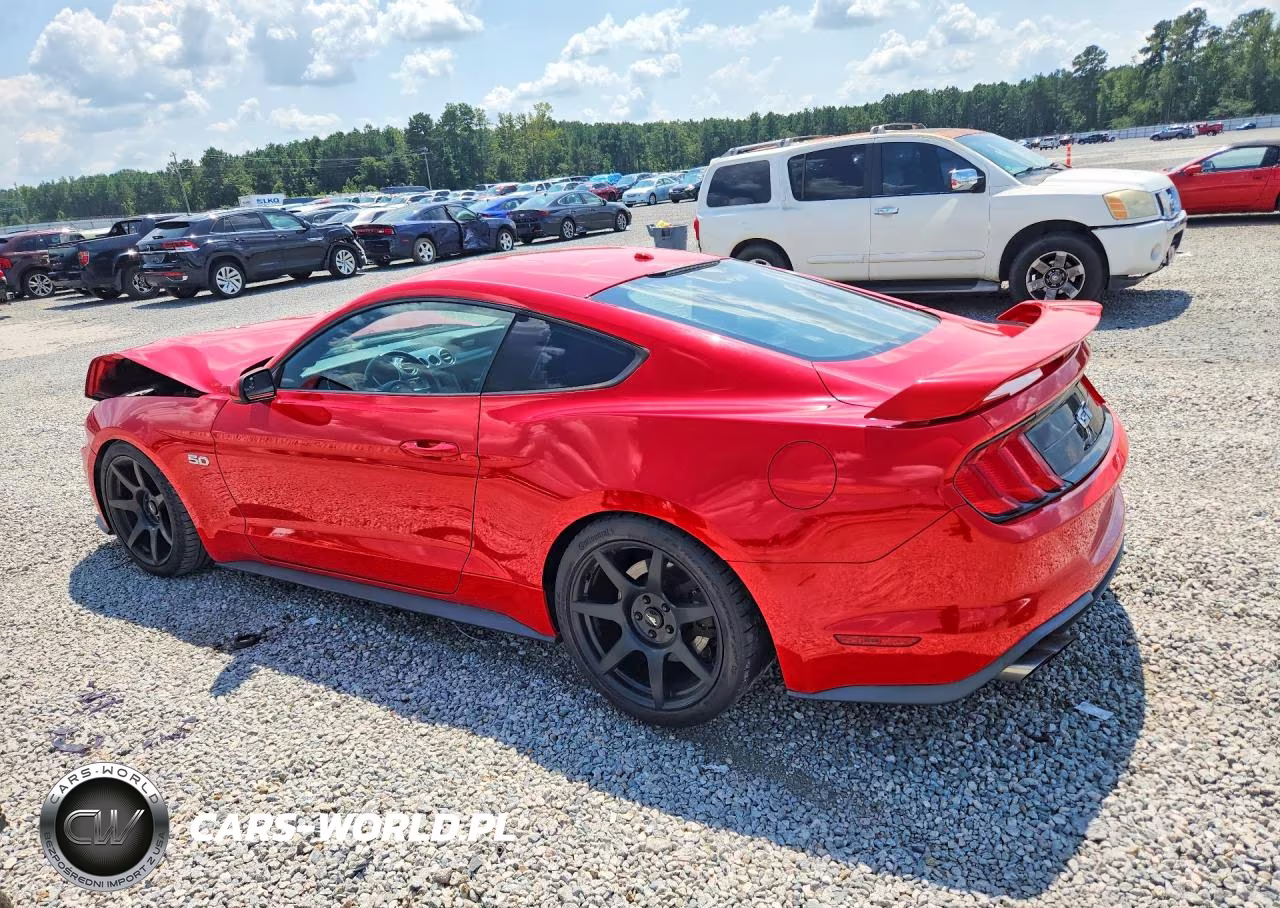 2019 Ford Mustang Gt VIN:1FA6P8CF9K5152617 - 2