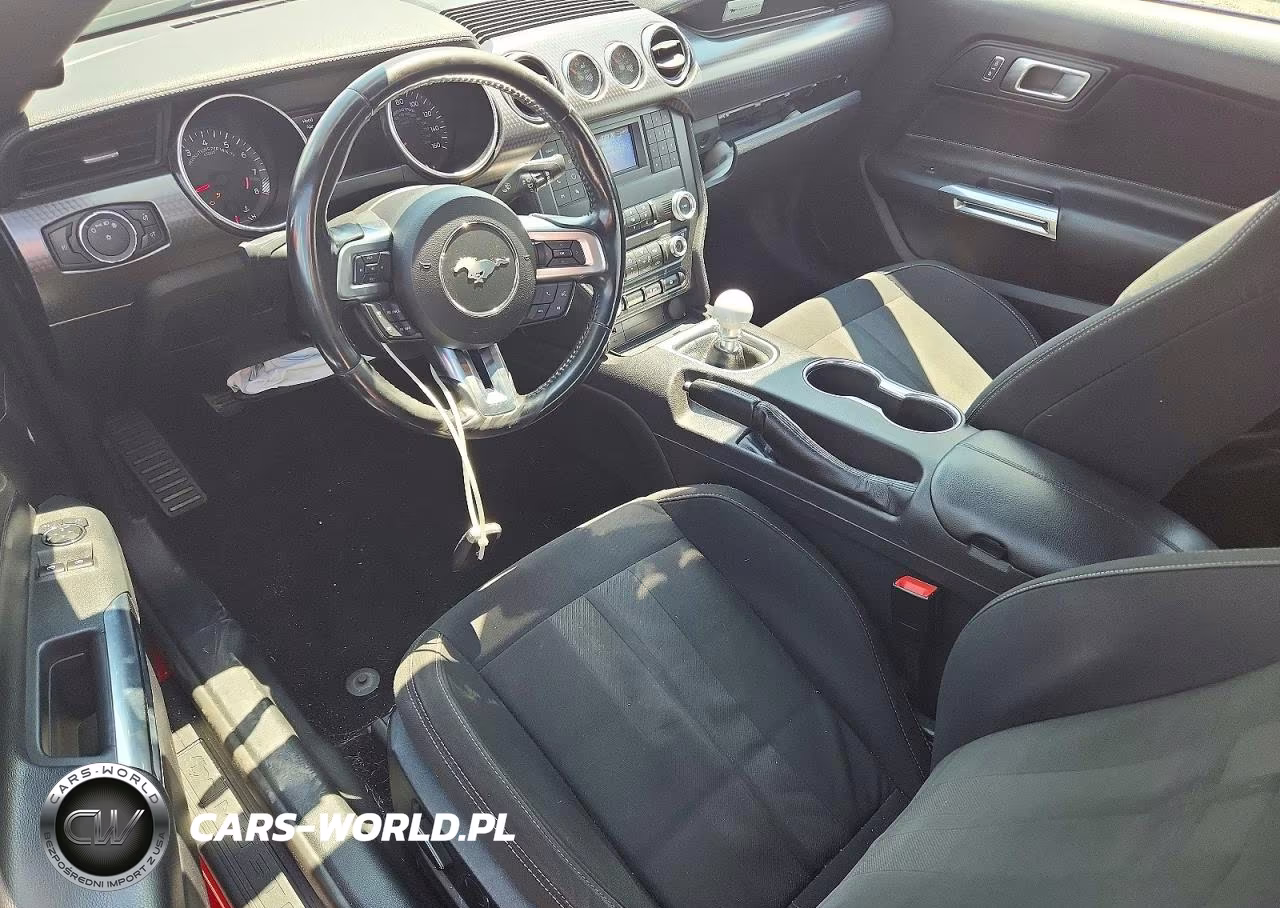 2019 Ford Mustang Gt VIN:1FA6P8CF9K5152617 - 8