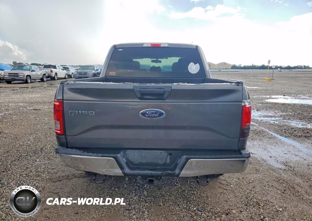 2017 Ford F150 Supercrew VIN:1FTEW1C84HKD44975 - 6