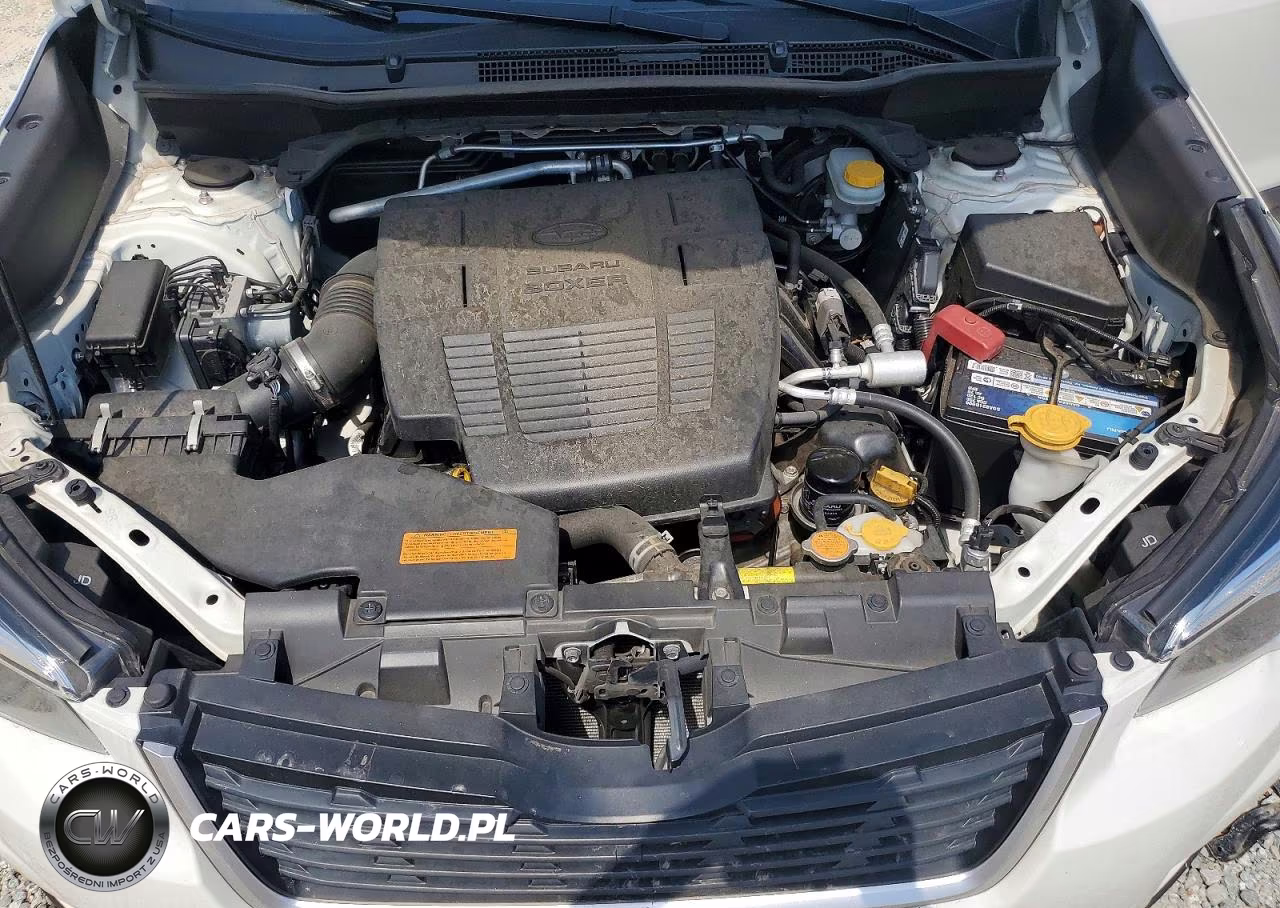 2019 Subaru Forester Premium VIN:JF2SKAEC6KH520804 - 12
