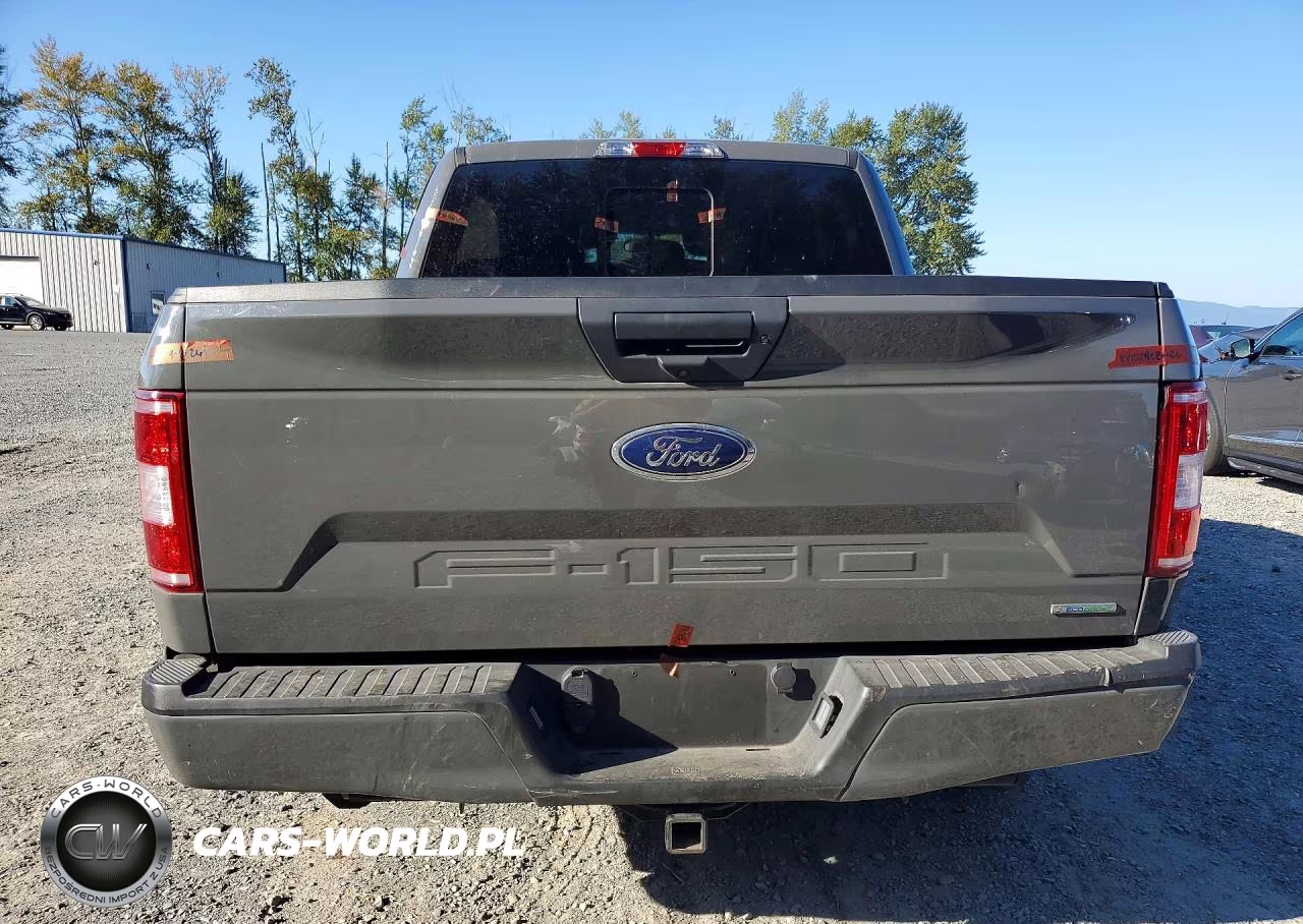 2020 Ford F150 Super VIN:1FTEW1EP3LFA19658 - 6