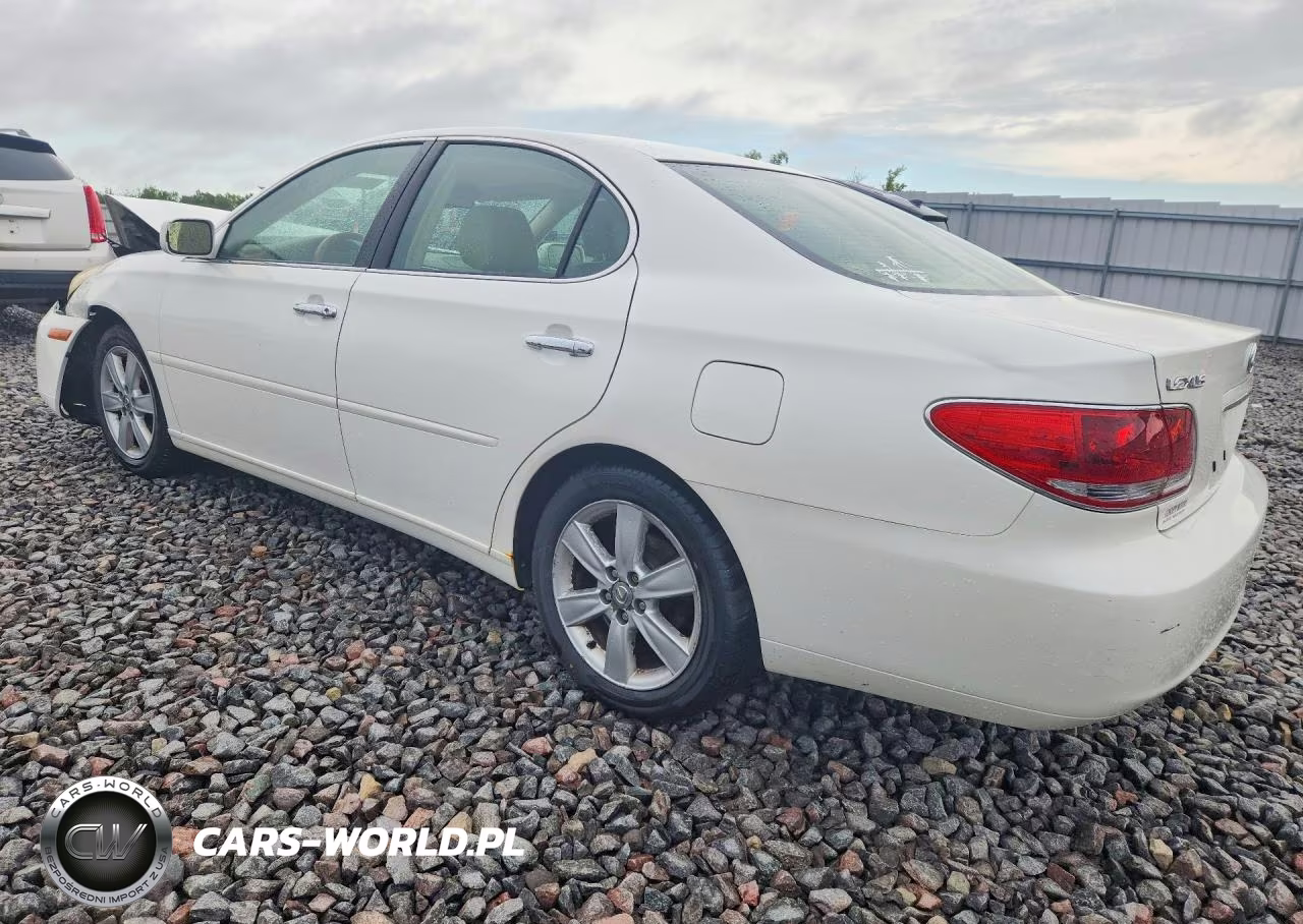 2005 Lexus Es 330 VIN:JTHBA30GX55092795 - 2