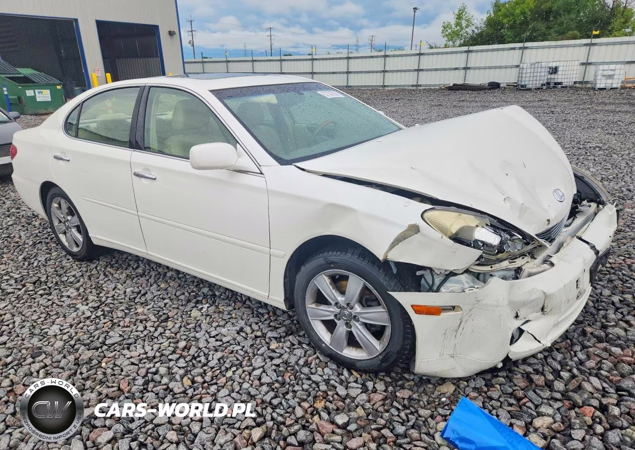 2005 Lexus Es 330 VIN:JTHBA30GX55092795 - 4