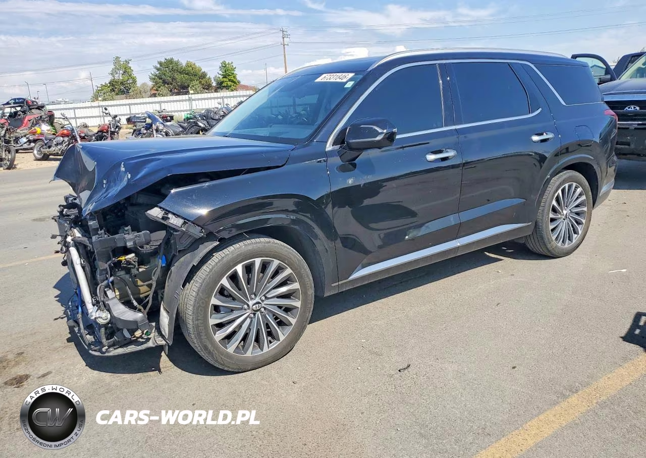 2024 Hyundai Palisade Calligraphy VIN:KM8R7DGE3RU685169 - 1