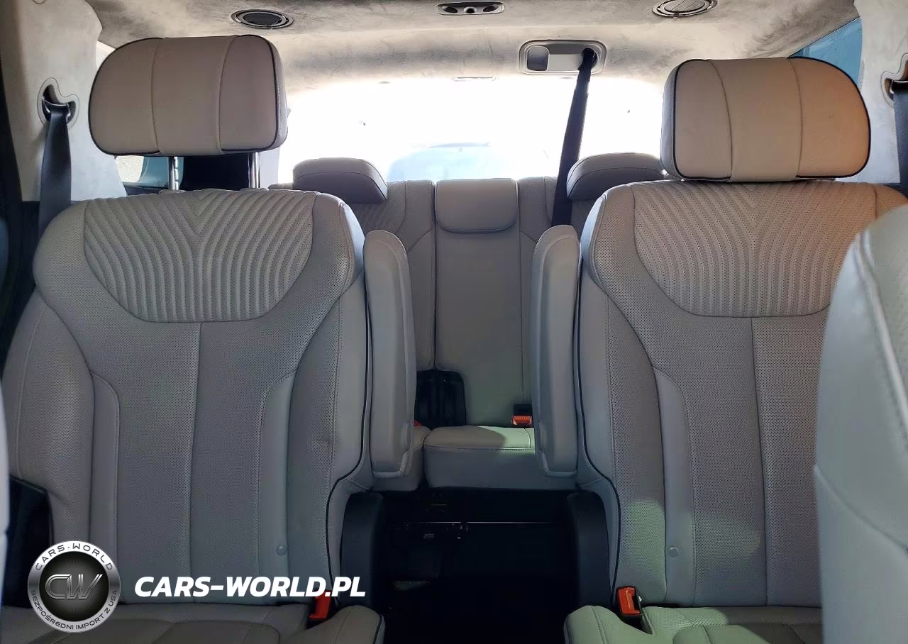 2024 Hyundai Palisade Calligraphy VIN:KM8R7DGE3RU685169 - 10