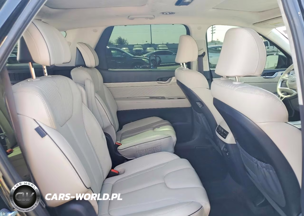 2024 Hyundai Palisade Calligraphy VIN:KM8R7DGE3RU685169 - 11